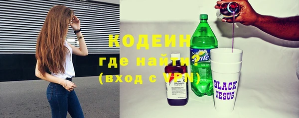 хмурый Бородино