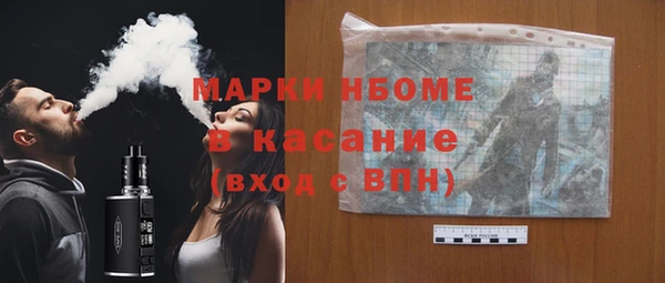 хмурый Бородино