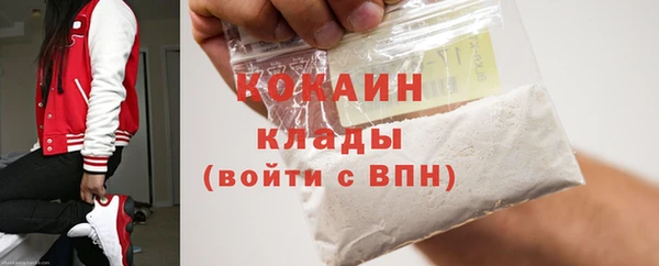 хмурый Бородино