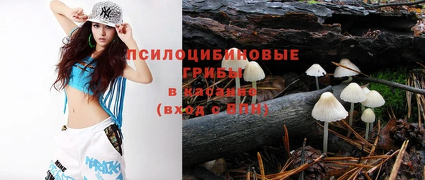 хмурый Бородино