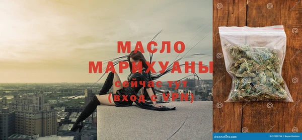 хмурый Бородино