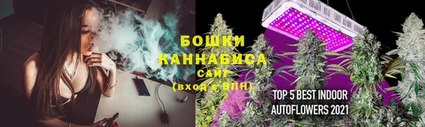 хмурый Бородино