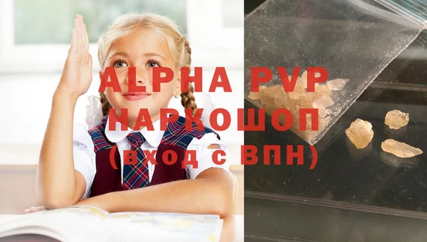 хмурый Бородино