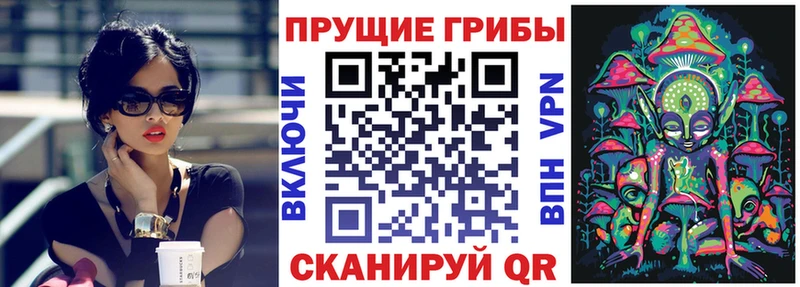 Купить закладки  Ликино-Дулёво  Псилоцибиновые грибы Cubensis 